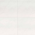 Msi Aria Ice 24 In. X 24 In. Polished Porcelain Floor And Wall Tile, 4PK ZOR-PT-0206